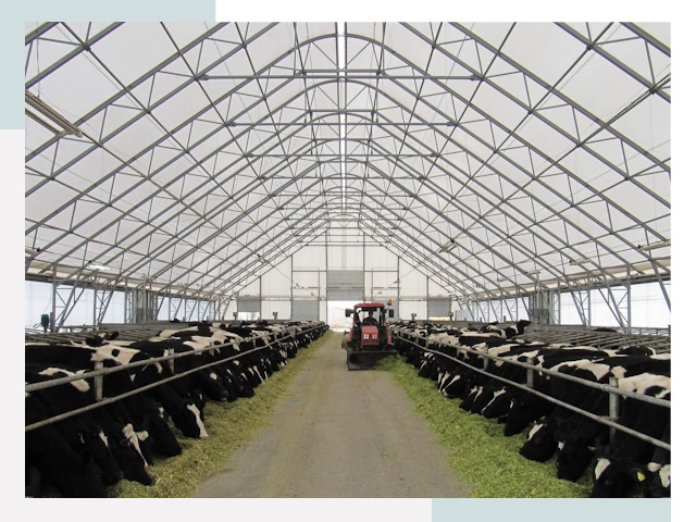 Тентовые коровники в Фурманове от 611 руб. - Надежно и доступно