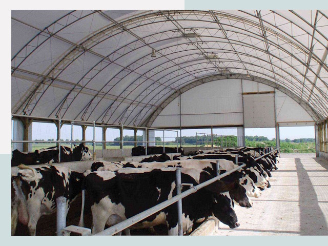 Тентовые коровники в Фурманове